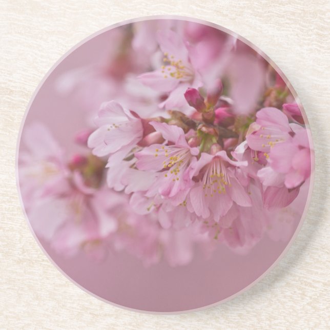 Posavasos El cerezo sakura florece con reflexiones rosa páli (Frente)