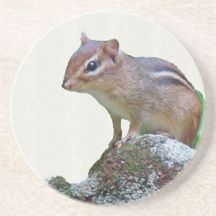 Posavasos El Chipmunk oriental en el rock