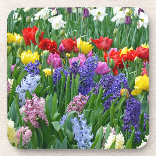 Posavasos El colorido jardín de flores de primavera (Frente)