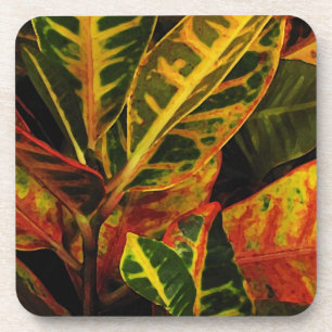 Posavasos El Croton sale del extracto