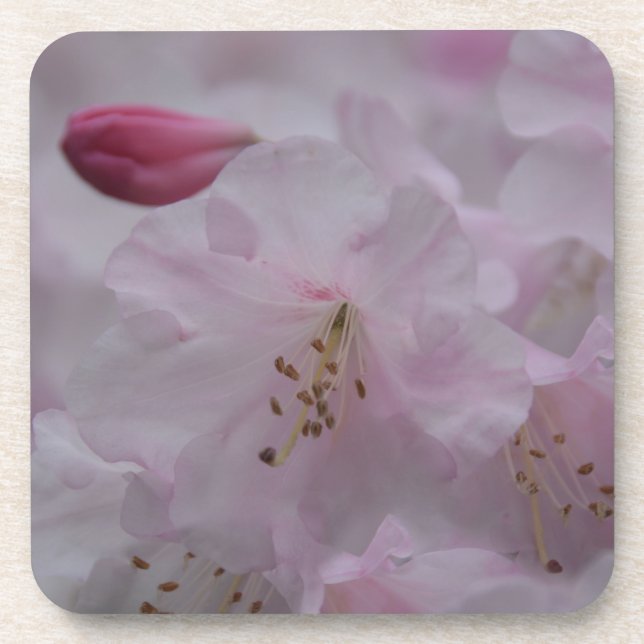 Posavasos El cuidado de la madre (Frente)