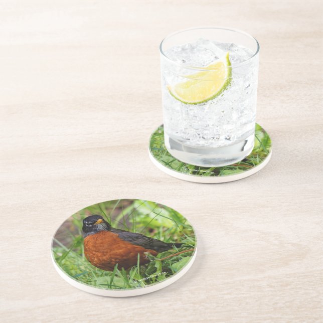 Posavasos El curioso Robin Songbird en la hierba (Lado)