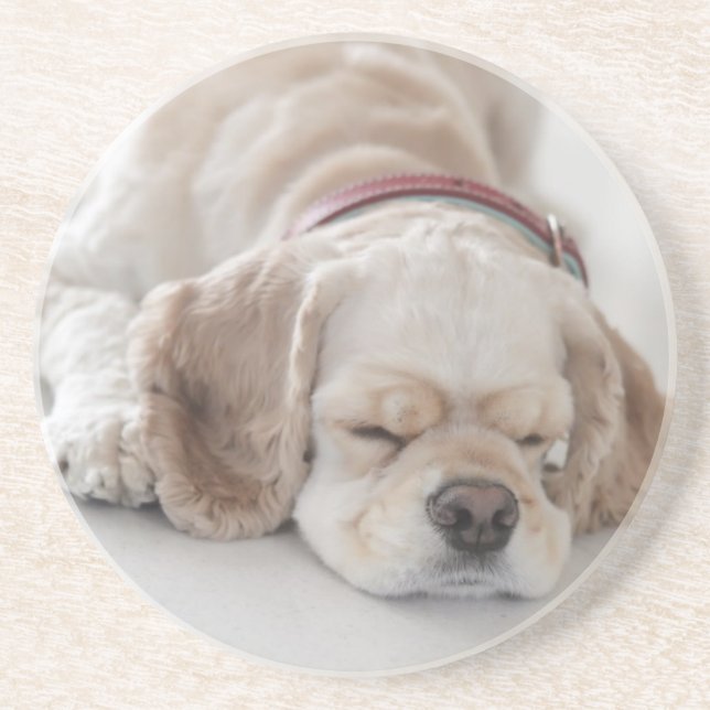 Posavasos El dormir del perro de cocker spaniel (Frente)
