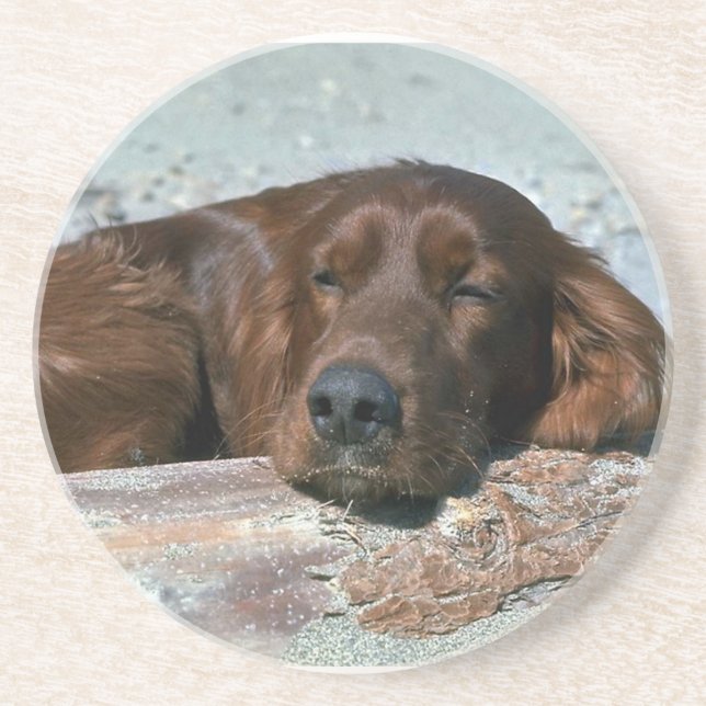Posavasos El dormir Irish Setter (Frente)
