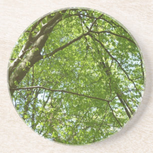 Posavasos El dosel de la primavera deja la naturaleza verde