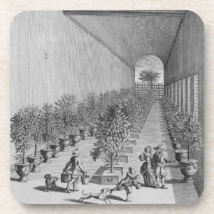 Posavasos El forzar-house, de 'De Nederlandze Hesperides