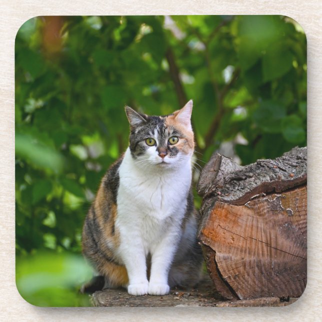 Posavasos El gato    (Frente)