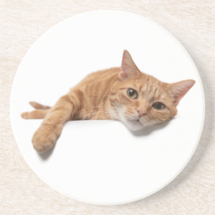 Posavasos El gato del naranja está tumbado