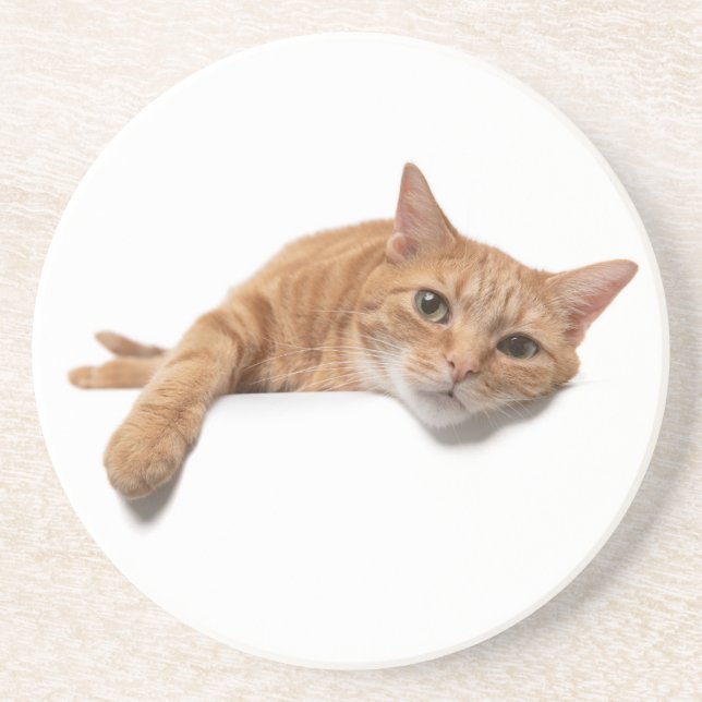 Posavasos El gato del naranja está tumbado (Frente)