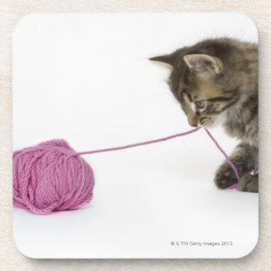 Posavasos El jugar joven del gatito del tabby