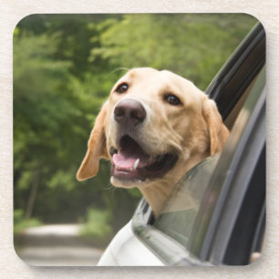 Posavasos El Labrador de oro en el espejo retrovisor