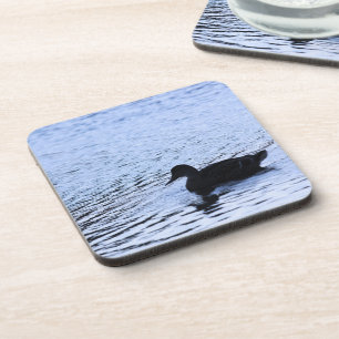 Posavasos El lago Lone Duck Wildlife Ripples Fotografía