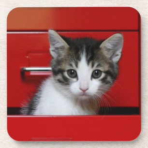 Posavasos El mirar a escondidas del gatito