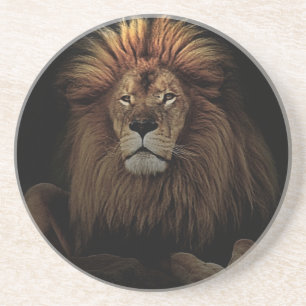 Posavasos El Orgulloso Lion Africa