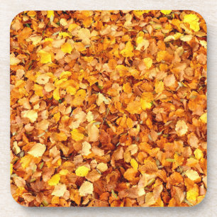 Posavasos El otoño deja arduas escayas plásticas