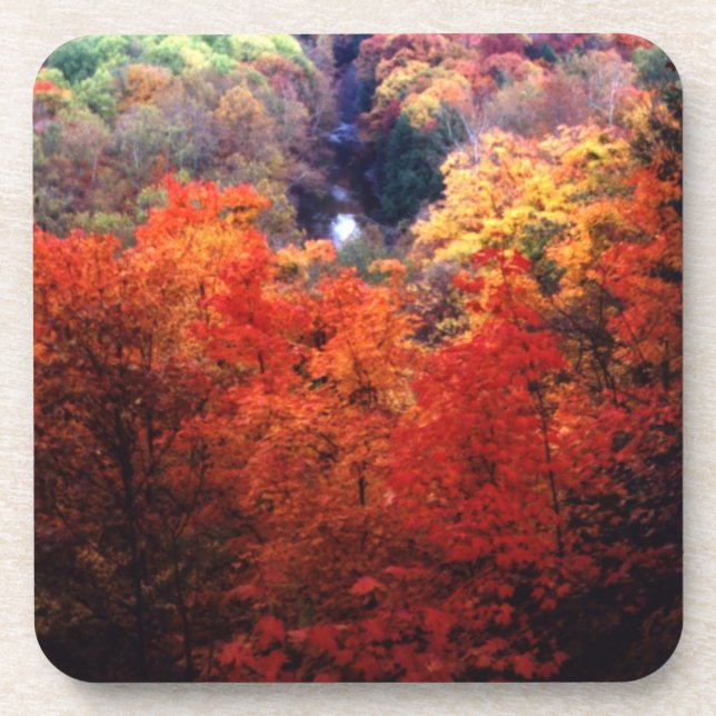 Posavasos El otoño deja un color cambiante (Frente)