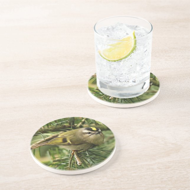 Posavasos El pájaro de Kinglet se vuelve loco (Lado)
