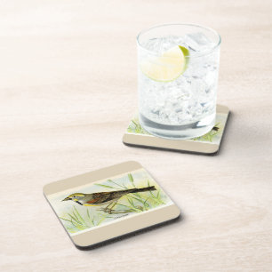 Posavasos El pájaro Dicki