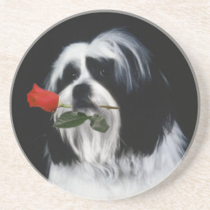 Posavasos El perro de Shih Tzu