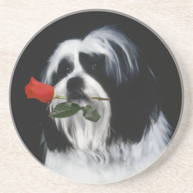 Posavasos El perro de Shih Tzu (Frente)