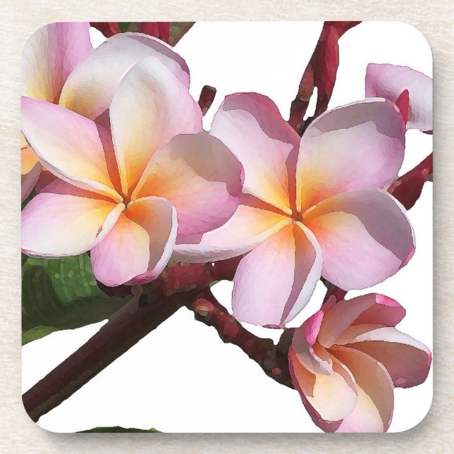 Posavasos El Plumeria florece el práctico de costa del (Frente)