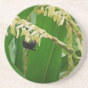 Posavasos El polen de maíz es delicioso para las abejas hoy.