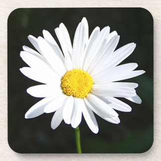 Posavasos El práctico de costa blanco brillante de la