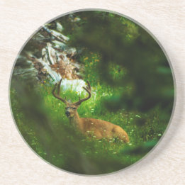 Posavasos El príncipe forestal