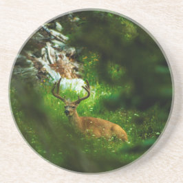 Posavasos El príncipe forestal