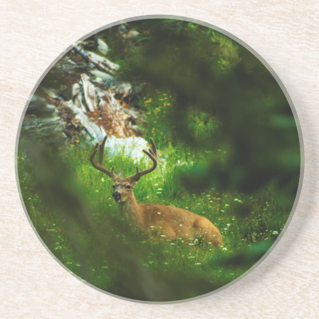 Posavasos El príncipe forestal (Frente)