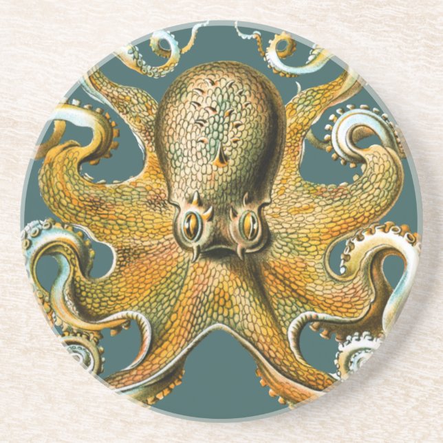 Posavasos El pulpo de Ernst Haeckel (Frente)