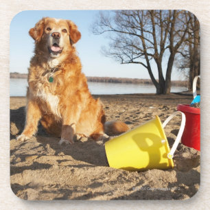 Posavasos El retrato del perro en la playa con la arena