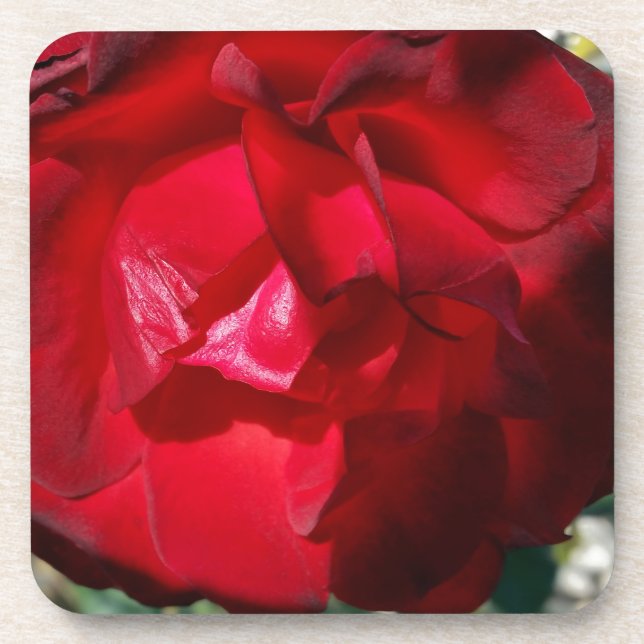 Posavasos El rojo del otoño (Frente)