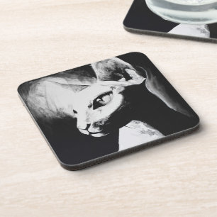 Posavasos El Sfinx Cat Hairless Kitty Black & White Art