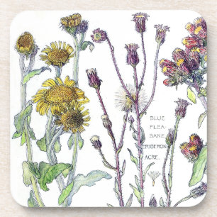 Posavasos El Wildflower botánico de Spikenard florece el