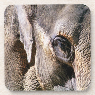 POSAVASOS ELEFANTE