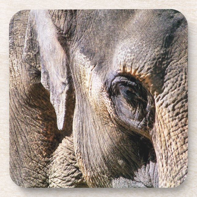POSAVASOS ELEFANTE (Frente)