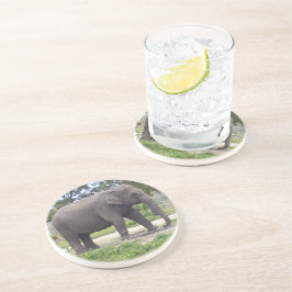 Posavasos Elefante en camino de pradera rústica
