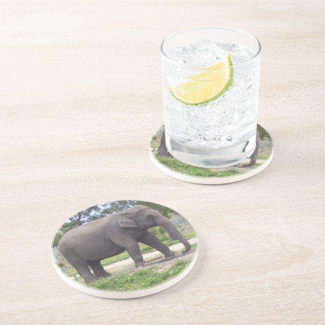 Posavasos Elefante en camino de pradera rústica (Lado)