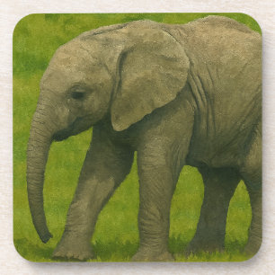 Posavasos Elefante joven con tutor en reserva de hierba