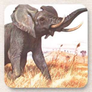 Posavasos Elefantes africanos de los animales del destino de