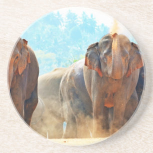 Posavasos Elefantes Animales Safari Destruyen Amor por la Pa