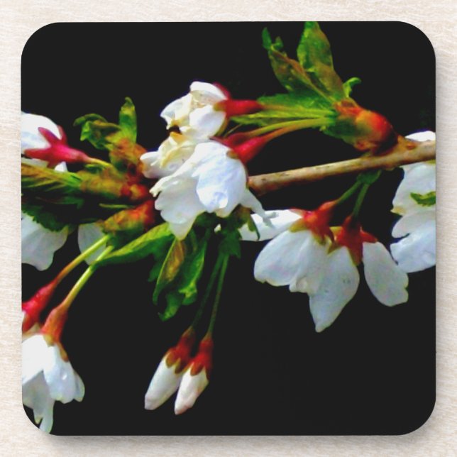 Posavasos Elegante Blossom blanco blanco negro floreciente (Frente)