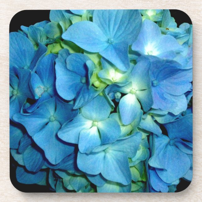 Posavasos Elegante flor azul hidrangea floral (Frente)