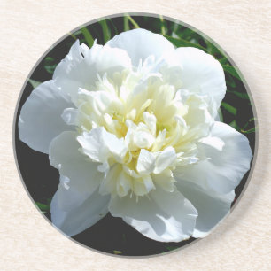 Posavasos Elegante foto de una joya blanca floral