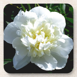 Posavasos Elegante foto de una joya blanca floral