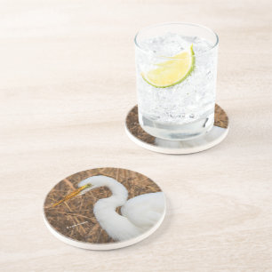 Posavasos Elegante Gran Egret en los carrizos