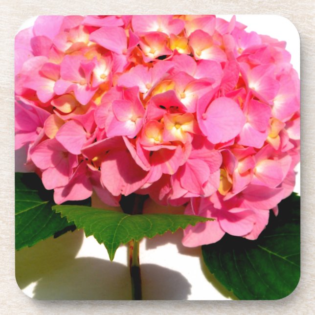 Posavasos Elegante hormigón rosa rosa floral rosa (Frente)