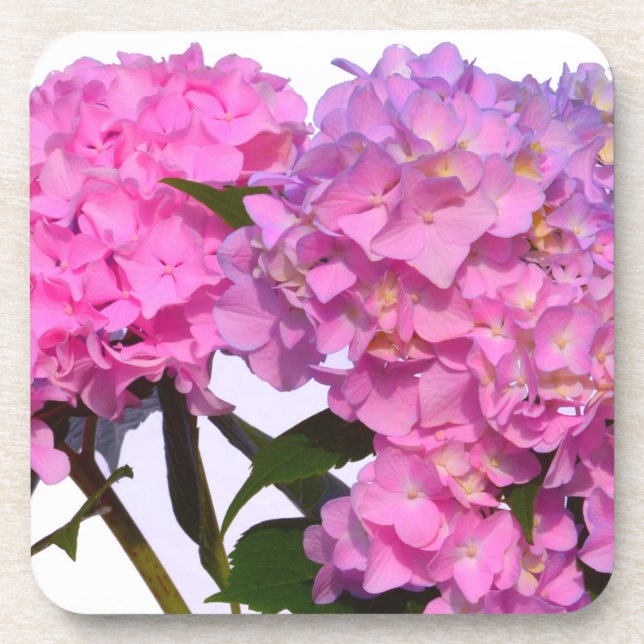 Posavasos Elegante hortensias florales púrpura rosa (Frente)