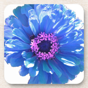 Posavasos Elegante margarita azul floral